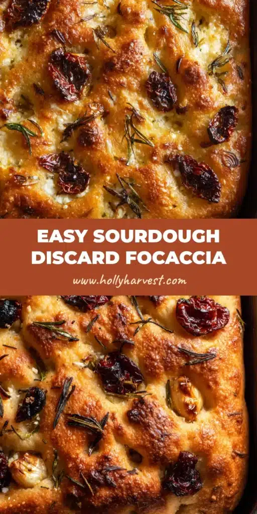 A freshly baked sourdough discard focaccia in a dark metal pan, featuring golden-brown dimples, glistening olive oil, blistered artisan cheese, roasted garlic, and wrinkled sun-dried tomatoes.