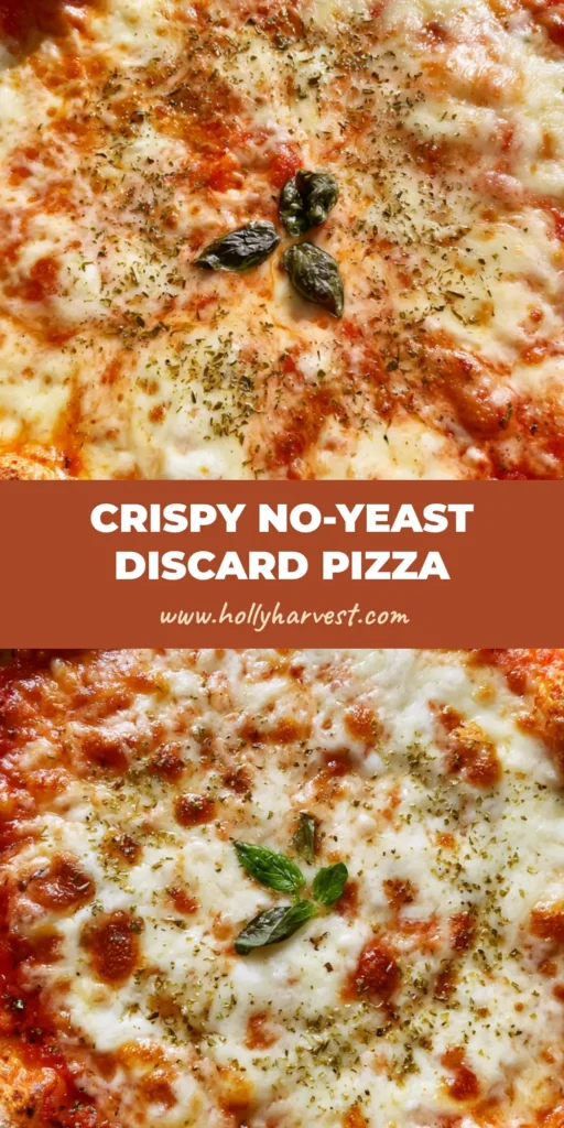 Sourdough Discard Pizza Crust: The Ultimate Thin and Crispy Artisan Recipe 4 A close-up shot of a rustic artisan Sourdough Discard Pizza Crust with charred bubbles and melted mozzarella on a stone surface.