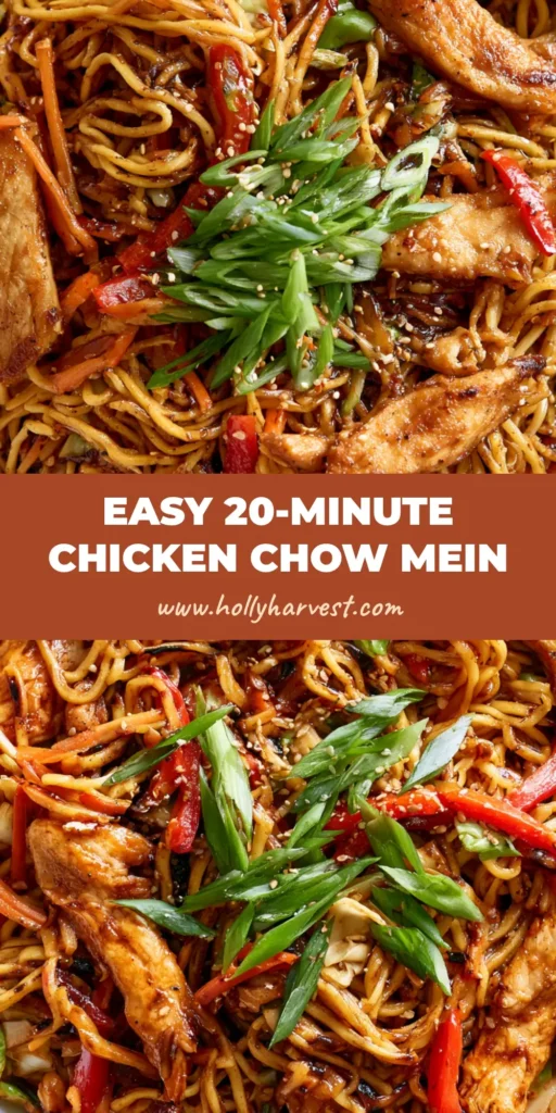 Chicken Chow Mein Recipe: The Ultimate Better-Than-Takeout Guide 4 A professional top-down photo of Chicken Chow Mein Recipe in a white bowl with seared chicken and glossy noodles.